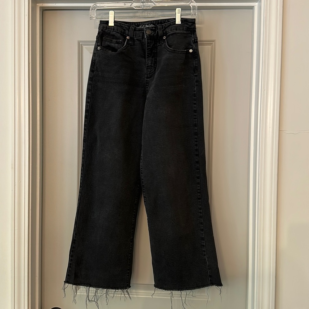 Wild Fable High Rise Skater Jean- Tag size 2